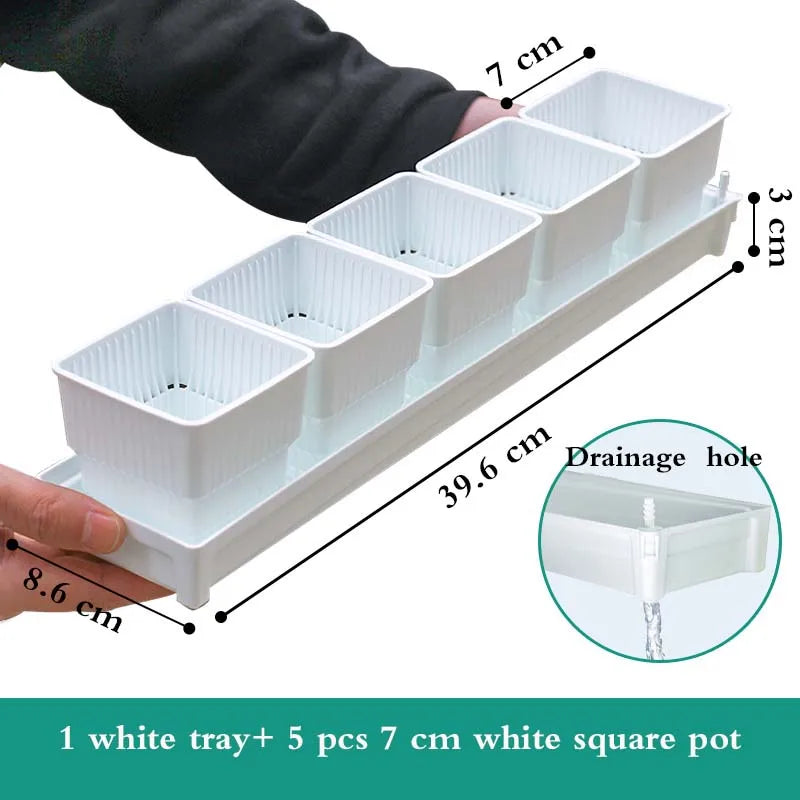 Meshpot Square Succulents Planter Pots With Tray Set,Nursery Pot Cactus Plant Pot Garden Plastic Pot Multi Size