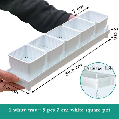 Meshpot Square Succulents Planter Pots With Tray Set,Nursery Pot Cactus Plant Pot Garden Plastic Pot Multi Size