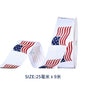 Independence Day Ribbon – Tricolor DIY Gift Box & Craft Ribbon