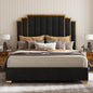 King Velvet Bed Frame with 65" Gold Trim Headboard – Black (Custom)