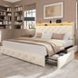 Queen Upholstered LED Platform Bed w/ 4 Storage Drawers