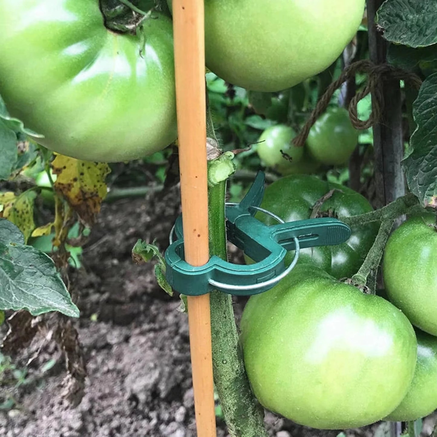 10/100pcs Plant Fixed Clips Reusable Garden Greenhouse Bracket Garden Plants Vine Climbing Clamp Flower Tomato Support Fastener