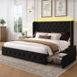 King Velvet Platform Bed w/ LED & 4 Storage Drawers