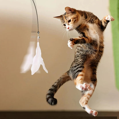 Interactive Bell & Feather Wand  Cat Teaser Toy  with Long Suction Cup Pole
