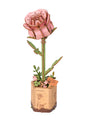 Robotime Rowood DIY Wooden Flower Bouquet Beautiful Hand-Make Gifts Eco-friend Materials 3D Wooden Puzzle for GirlFriends Decor