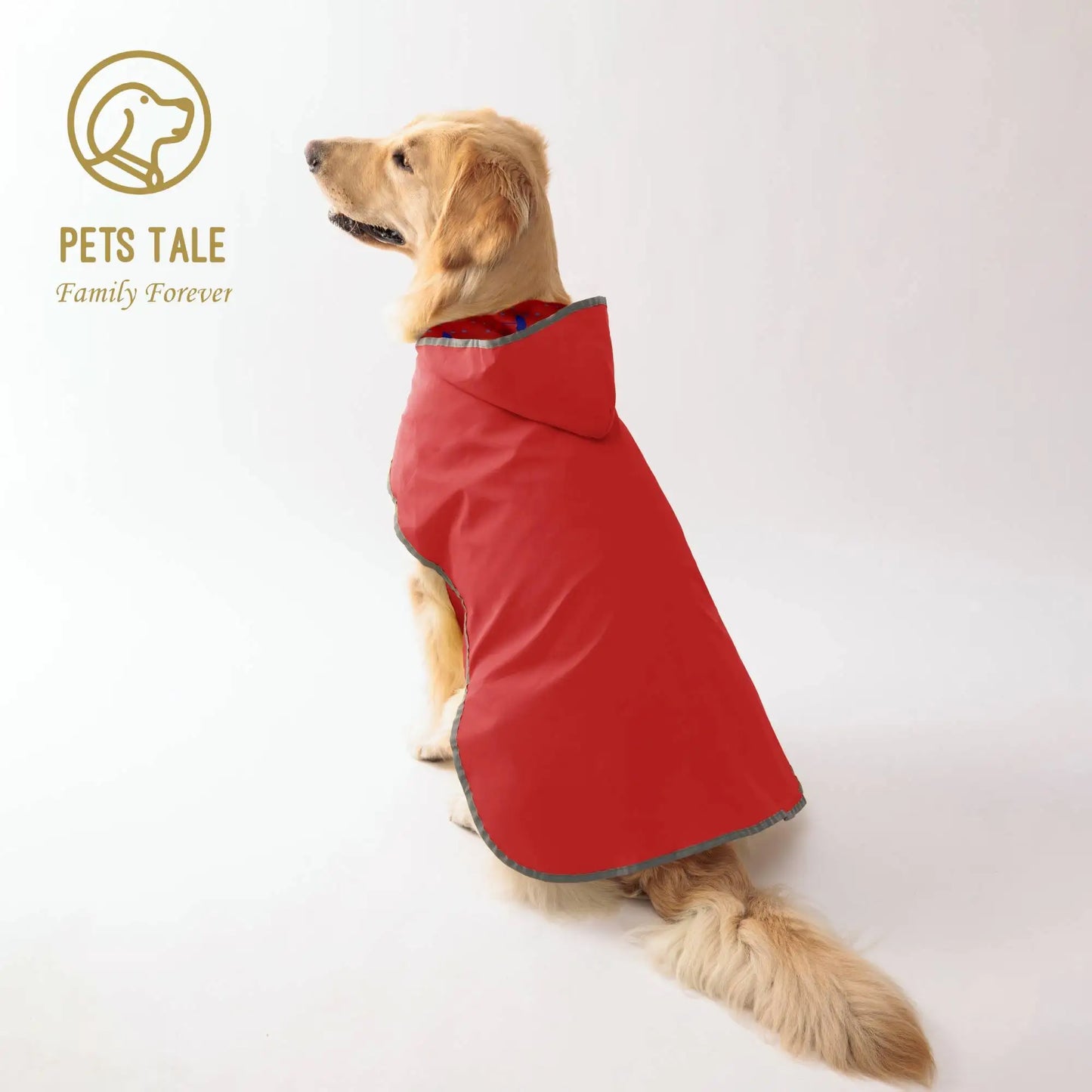 Stylish Double-Layer Raincoat with Two-Way Wear!
