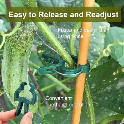 10/100pcs Plant Fixed Clips Reusable Garden Greenhouse Bracket Garden Plants Vine Climbing Clamp Flower Tomato Support Fastener