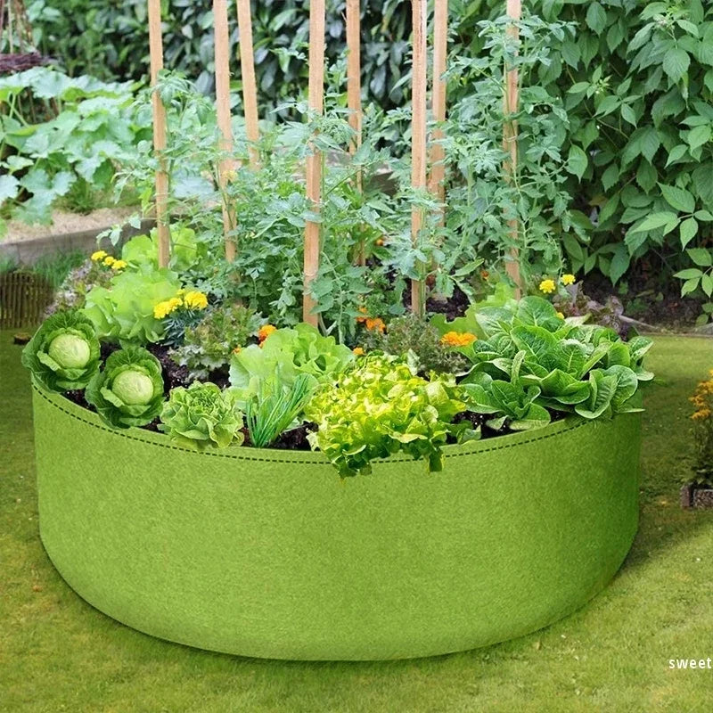 Large Circular Fabric Grow Bags – Heavy‑Duty Felt Planters for Vegetables & Garden Beds