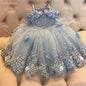Off‑Shoulder Pearl &amp; Lace Butterfly Flower Girl Dress (Infant · First Birthday · Ball Gown · Customizable)