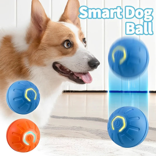 Dog Smart Toy Ball- Electronic Interactive